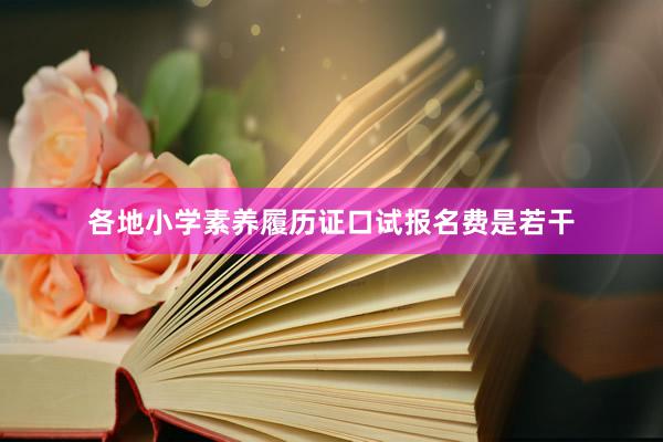 各地小学素养履历证口试报名费是若干