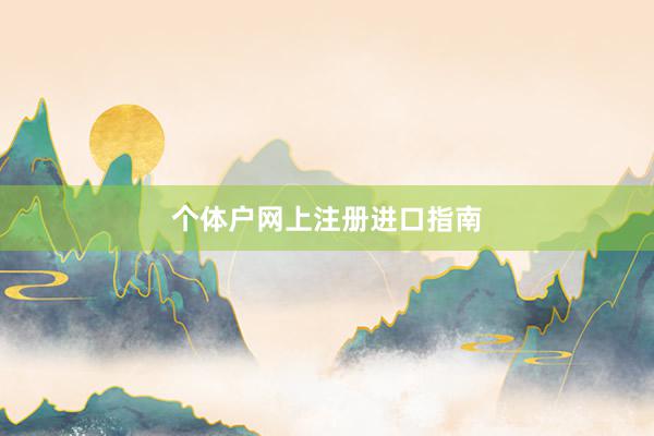 个体户网上注册进口指南