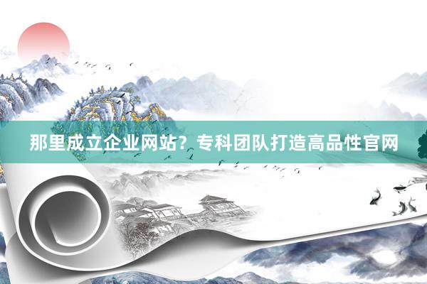 那里成立企业网站？专科团队打造高品性官网