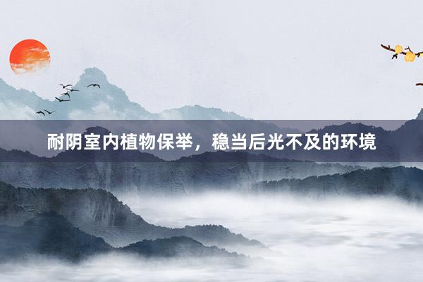 耐阴室内植物保举，稳当后光不及的环境