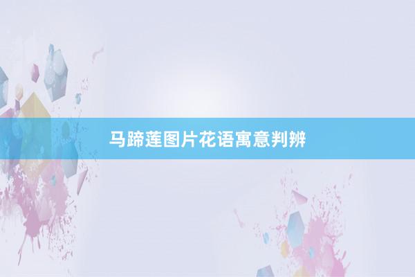马蹄莲图片花语寓意判辨